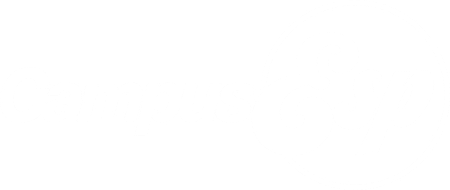 Qa Custom Domain Logo